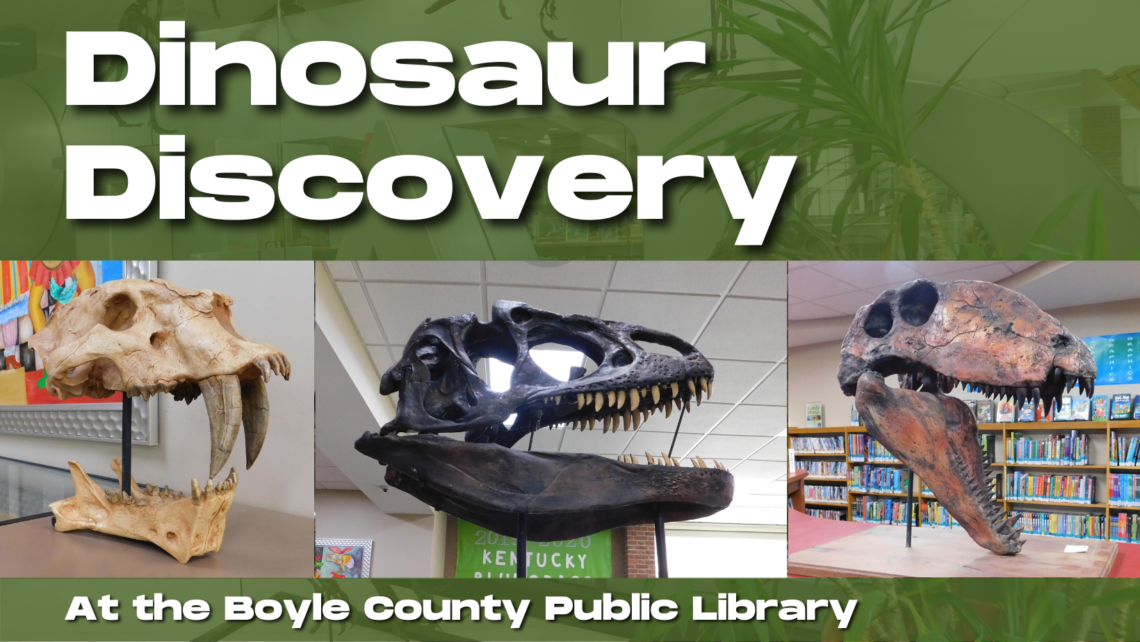 Dinosaur Discovery at the Library