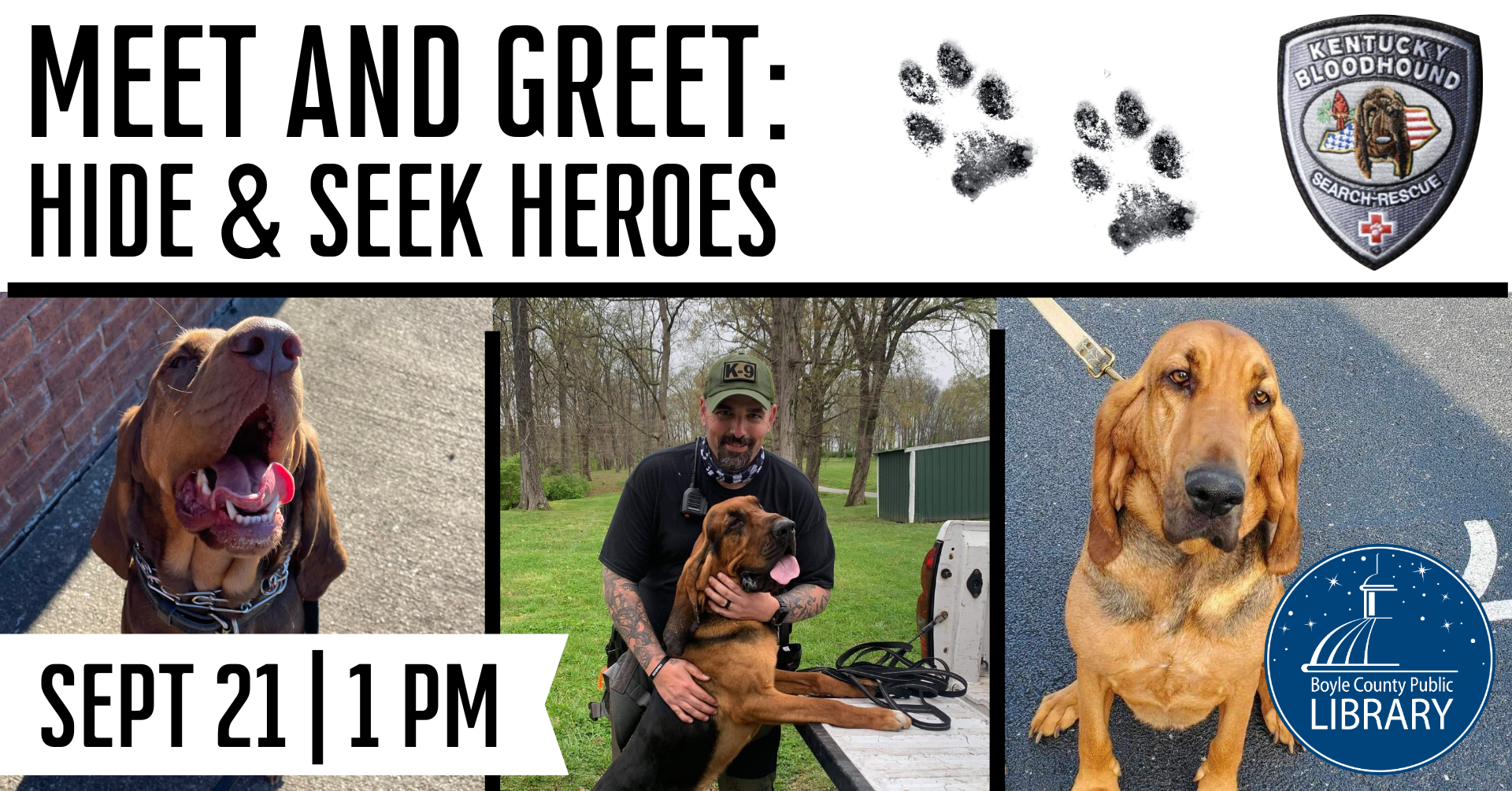 Meet and Greet: Hide and Seek Heroes K9 search and rescue dogs