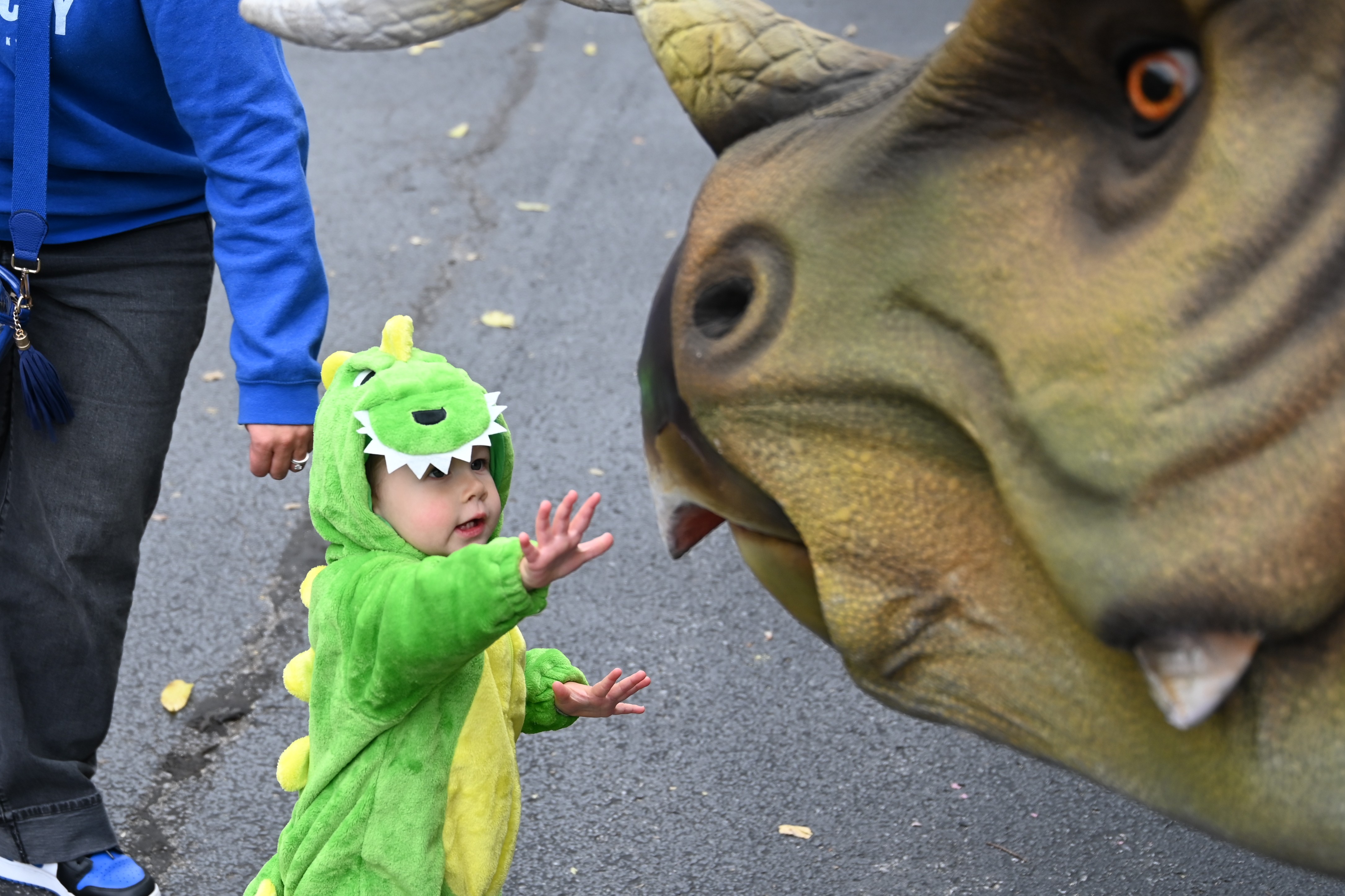A child reaches out to touch a life-size dinosaur puppet during Library Trick or Treat.