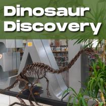 Dinosaur Discovery Exhibit